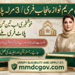 CM Punjab 3 Marla Scheme 2025