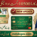 1312 Himmat Card 2026