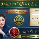 CM Punjab Bewa Sahara Card Scheme 2026