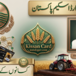 CM Punjab Kisan Card 2026