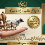 Punjab CM Livestock Card Scheme 2026