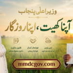 Punjab Workers Welfare Housing Scheme 2026