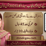 CM Punjab Bewa Card 2026