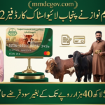 CM Punjab Livestock Card Phase 2