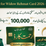CM Punjab Rehmat Card 2026