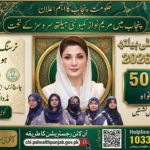Maryam Nawaz CHI Jobs 2026