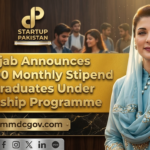 Maryam Nawaz Internship Program 2026