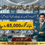 Meezan Bank Jobs 2026