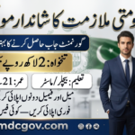 NAB Multan Jobs 2026