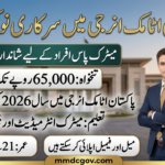 Pakistan Atomic Energy Jobs 2026