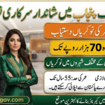 Bank of Punjab Jobs 2026