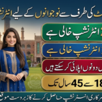 CM Punjab IT Internship 2026