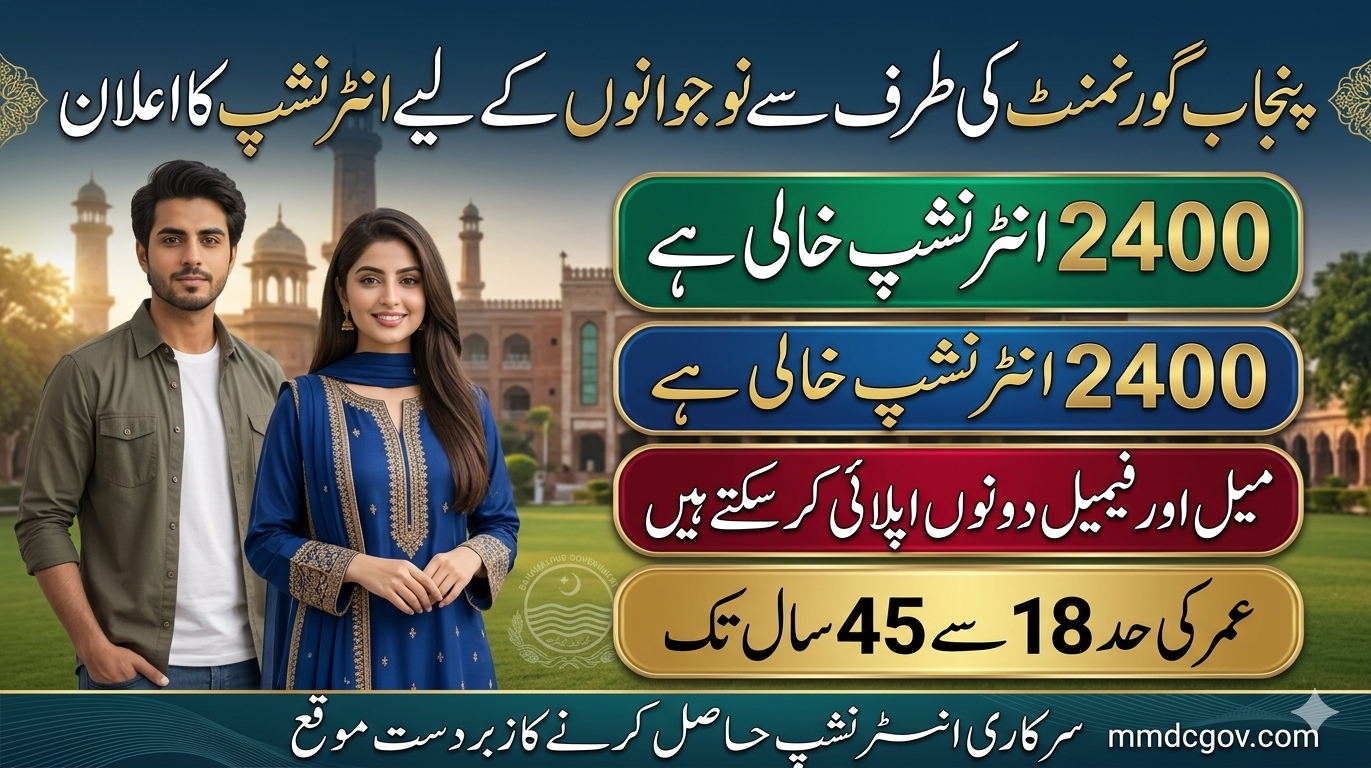 CM Punjab IT Internship 2026