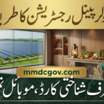Punjab Roshan Gharana Solar Scheme 2026