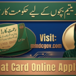 CM Punjab Rahmat Card 2026