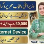 CM Punjab SEHR Program 2026