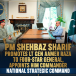 PM Appoints Gen Aamer Raza as Commander