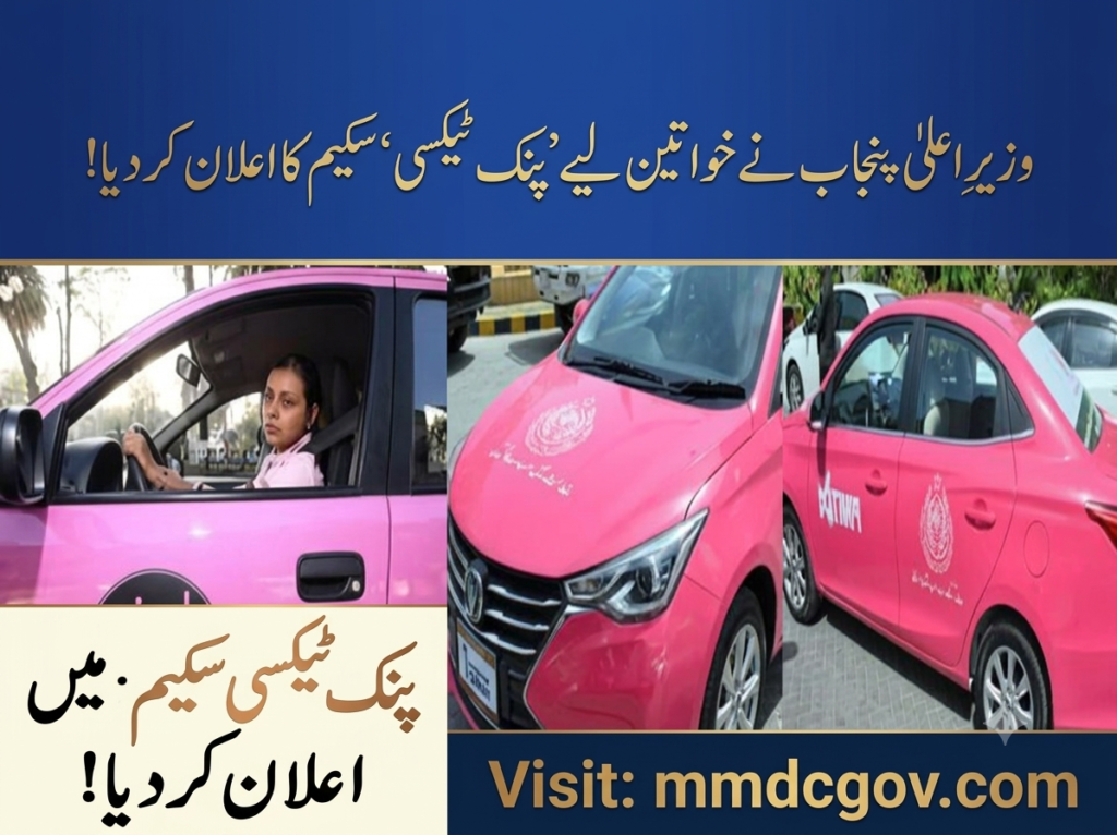 Pink Taxi Scheme Sindh 2026