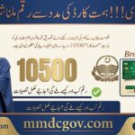 Punjab Himmat Card 2026