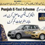 CM Punjab E-Taxi Scheme 2026